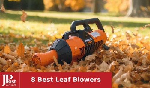 8 Best Leaf Blowers of 2024