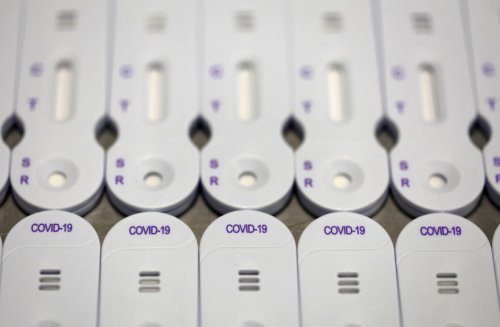 Scientists develop COVID-19 tests that can identify variants in hours