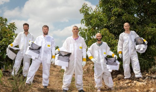 Israeli start-up Beewise is saving honey bees from extinction