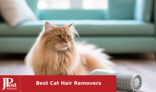 10 Best Selling Cat Hair Removers for 2023