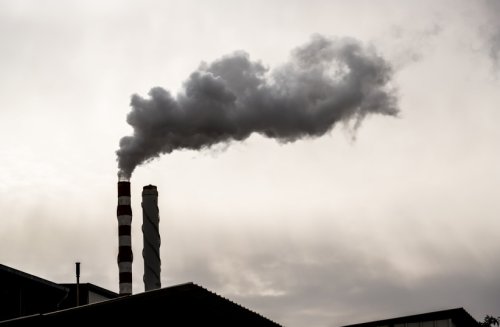 Environmental factors including air pollution increase death risk