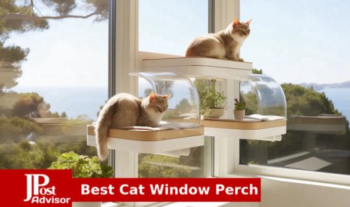 Best Cat Window Perches Review