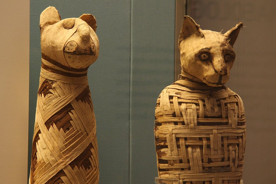 How Ancient Peoples Fed the Dead