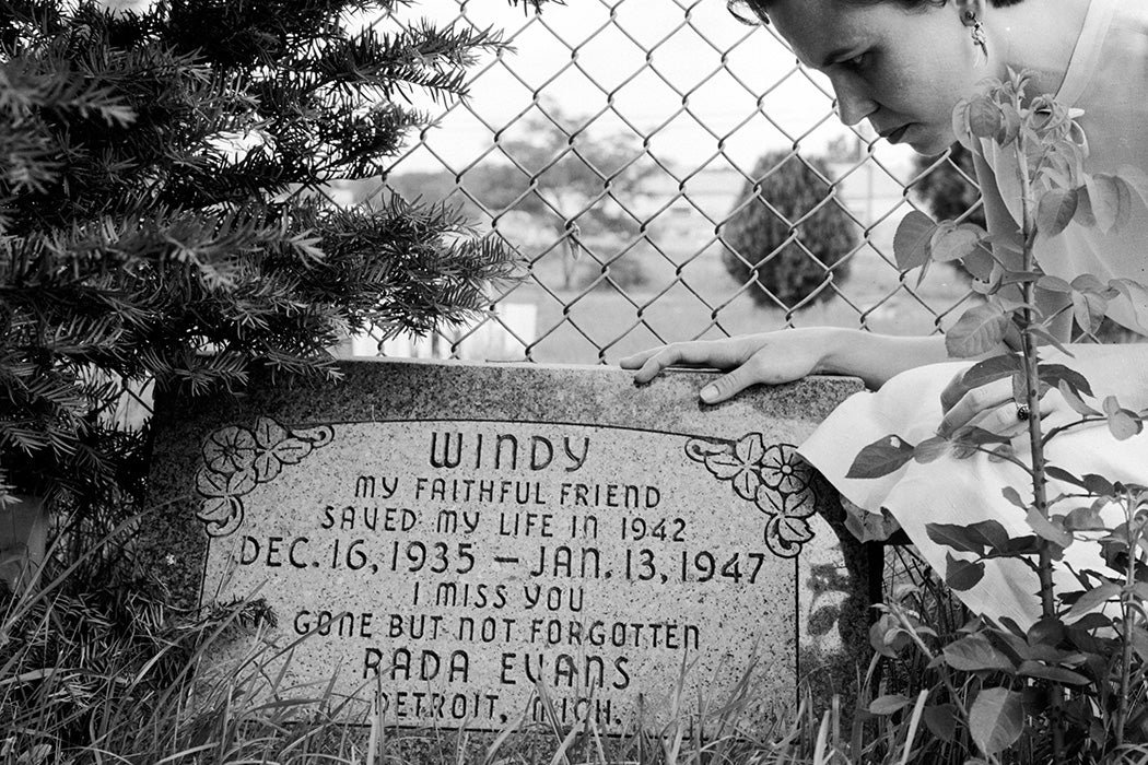 An Epitaph for Fido