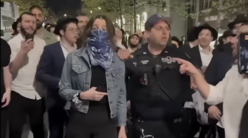 Anti-Israel protests set for Crown Heights following viral video of Jewish men assaulting woman