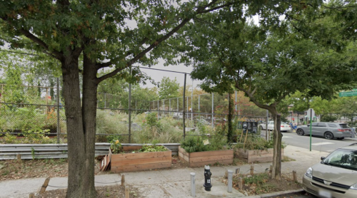 NYC penalizes organizers of community garden that required members to oppose Zionism