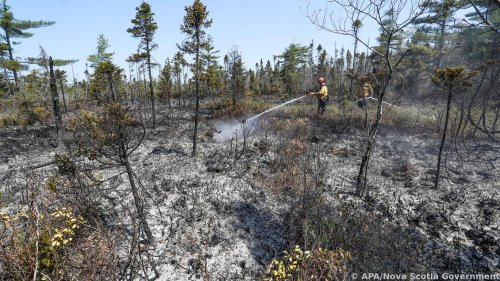 Evakuierungen wegen Waldbränden in Kanada