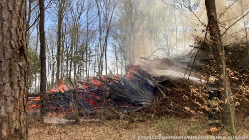 Waldbrand im Südburgenland forderte 100 Feuerwehrleute