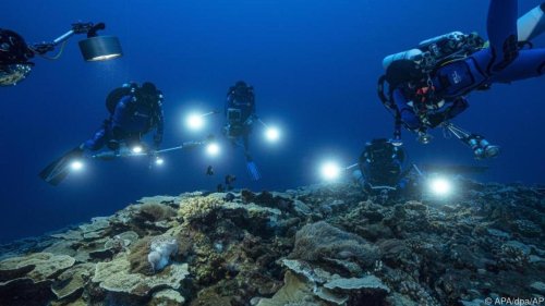 Großes Korallenriff vor Tahiti entdeckt