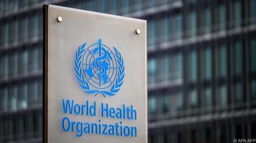 WHO: Affenpocken-Ausbruch keine internationale Notlage