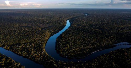 Milliardenpaket für Amazonasgebiet angekündigt