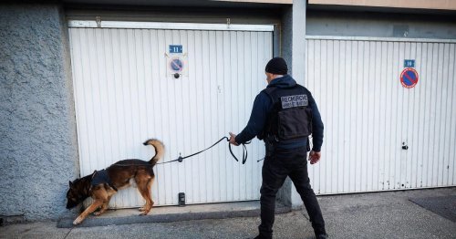 Frankreich: 1.357 Menschen bei Drogen-Razzien festgenommen