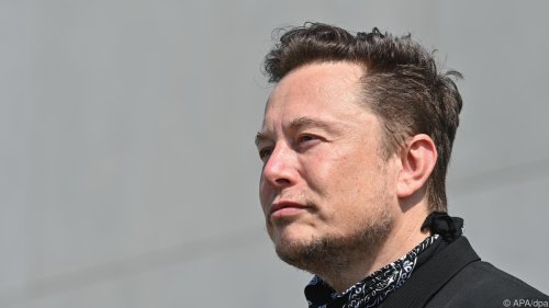 Elon Musk Vater von Zwillingen mit Neuralink-Führungskraft
