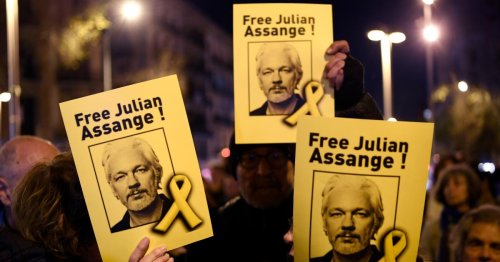Assange hat laut Bericht zwei Kinder mit Anwältin