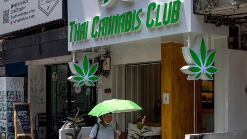 Cannabis-Legalisierung in Thailand wird wieder beendet