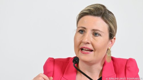 Raab für bessere Vorbereitung von Zuwanderern auf Österreich