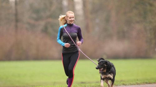 Sport mit dem Hund: Die besten Tipps