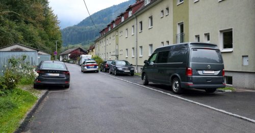 Femizid in Oberösterreich: Chauffeur des Opfers hörte nichts