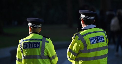 Londoner Polizei laut einem Bericht institutionell rassistisch