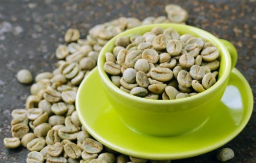 Yeşil Kahve Nedir – Yeşil Kahve Faydaları Nelerdir ?
