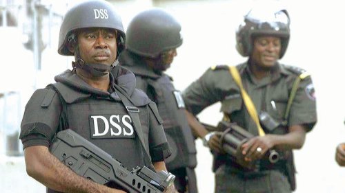 DSS confirms plot to install interim government
