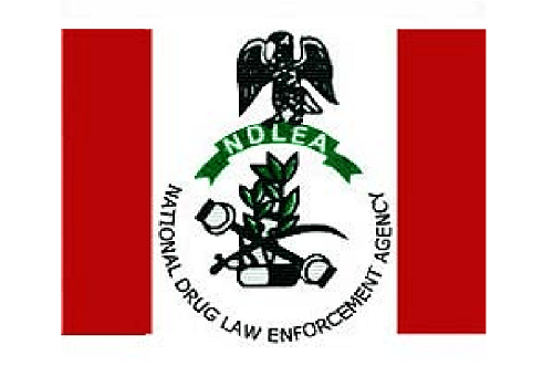 NDLEA nabs Delta drug baroness, recovers cocaine, seals mansion
