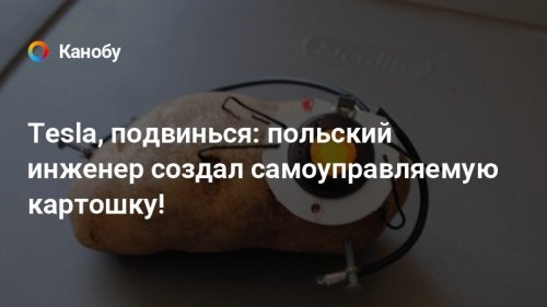 Tesla, подвинься: польский инженер создал самоуправляемую картошку!