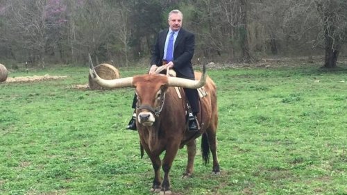 ‘The Bull’ lawyer Brad Pistotnik’s law license to be suspended by Kansas Supreme Court