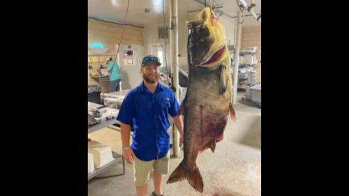 ‘A straight up monster.’ World record 125-pound bighead carp caught by Missouri man