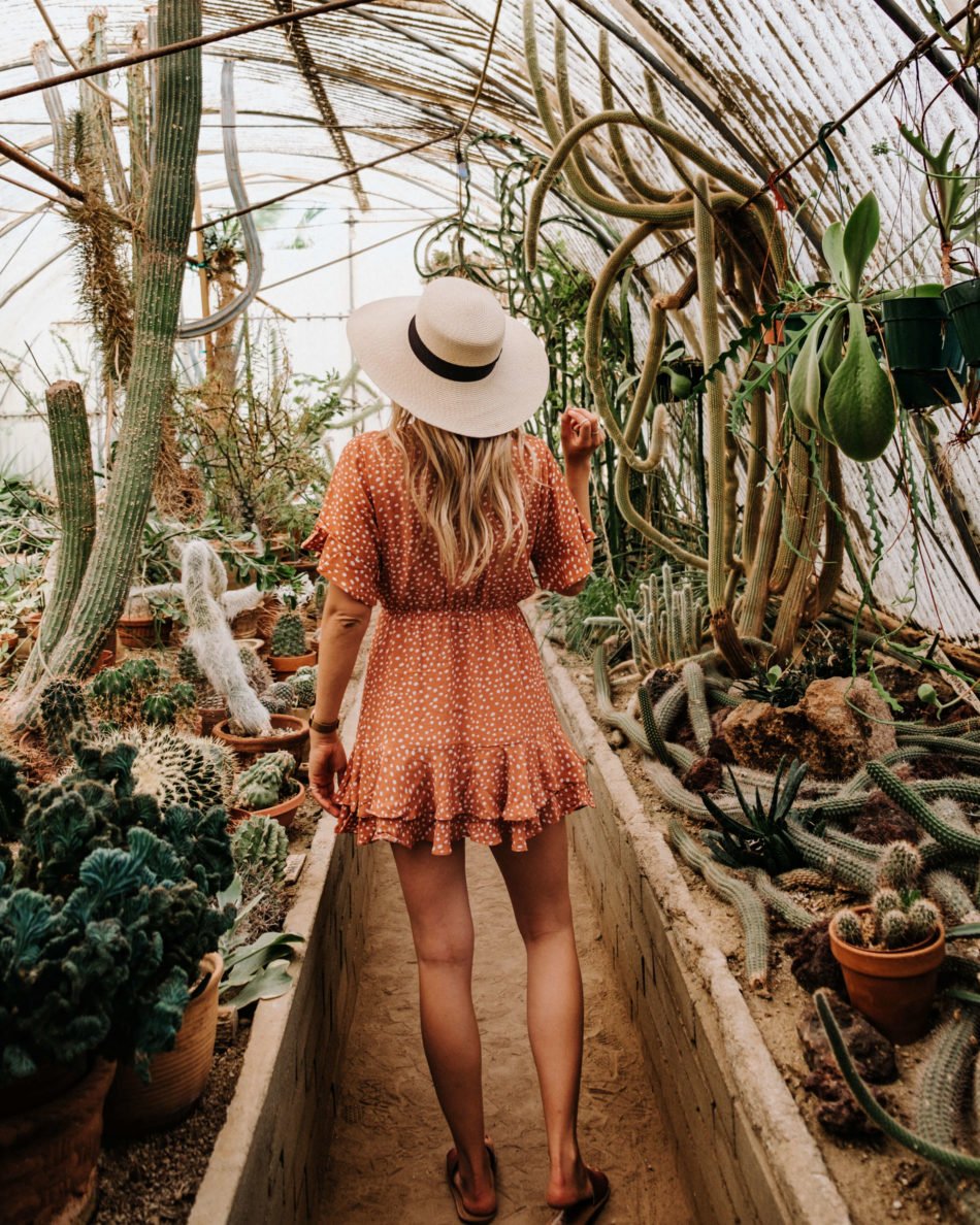 The Ultimate Guide to Palm Springs Instagram Spots - Kaylchip