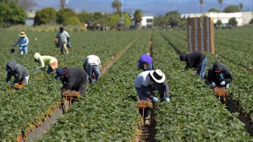 Lack of housing pushes Oxnard’s farm workers inland | Greater LA