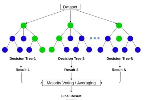 Primary Supervised Learning Algorithms Used in Machine Learning