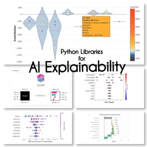 Explainable AI: 10 Python Libraries For Demystifying Your Model’s ...