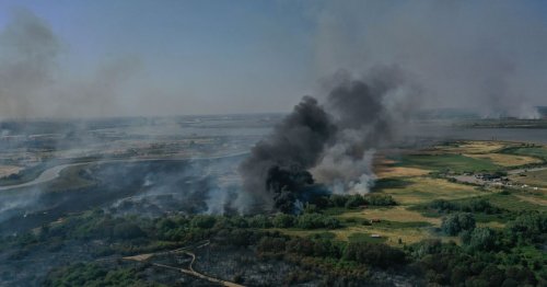 Dartford Heath: Huge area near the A2 and M25 is now just 'kindling for wildfires'