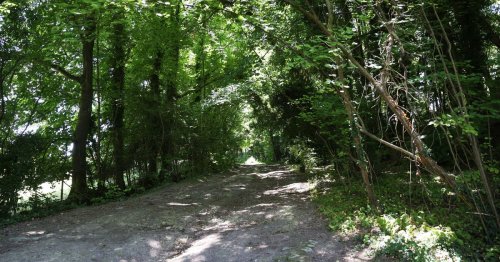 The lost Roman road between London and Portslade that can still be tracked today