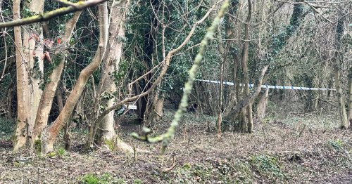 Human bones discovered in Biggin Hill 'belonged to middle-aged man'