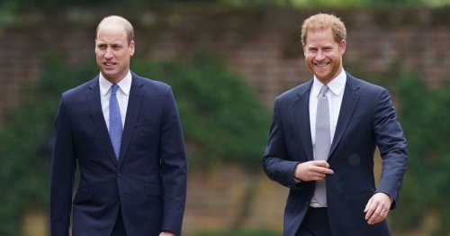 Harry and William's falling out began 'long before Meghan' royal insiders claim