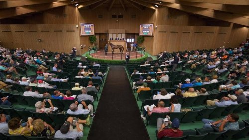 Lawsuit contends female horse sold at Keeneland Sale is really a male