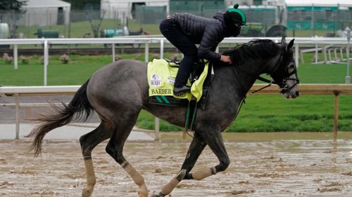 How 2022 Kentucky Derby horses have run on sloppy or wet tracks