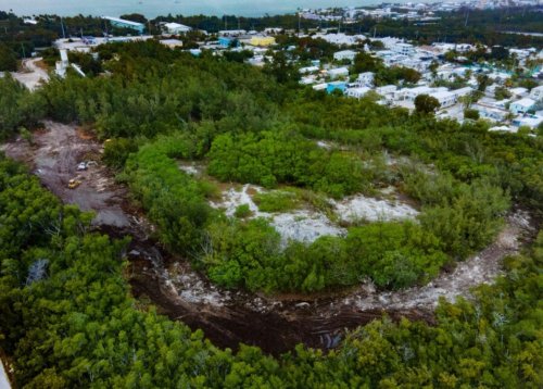 COUNTY ORDER HALTS ILLEGAL VEGETATION CLEARING ON TAVERNIER PROPERTY NOW OWNED BY DEVELOPMENT GROUP