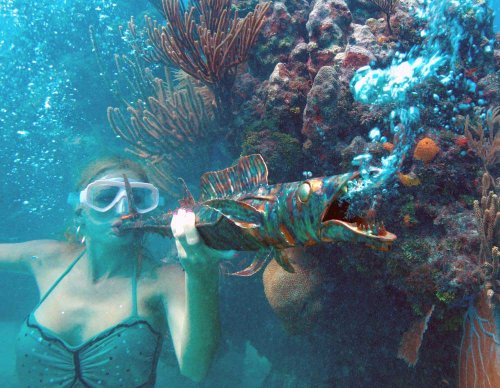 Rock Out at the Florida Keys Underwater Music Festival