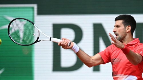 Djokovic, Nadal into French Open last 16