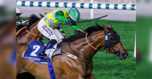 Title Race Heats Up as Meydan's Carnival Finale Sets the Stage for Dubai World Cup