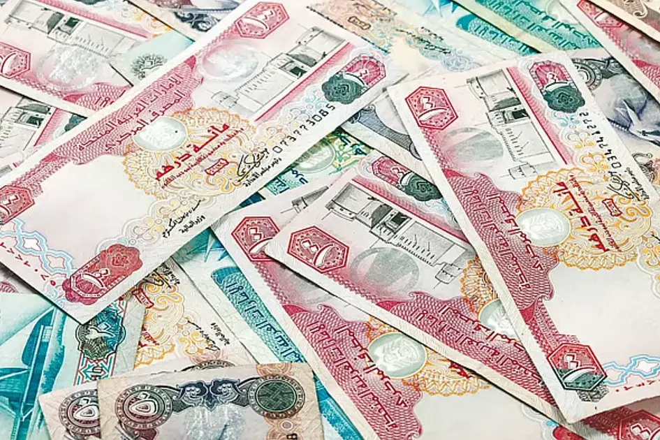 Remittances from UAE to Pakistan will remain steady amid global uncertainty: Official