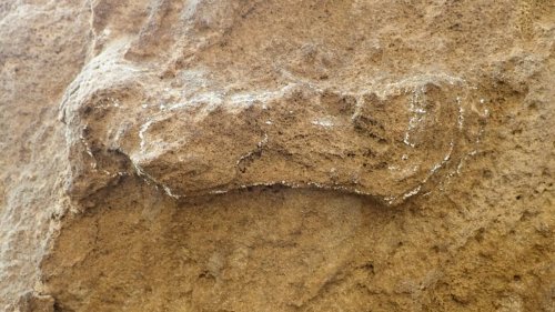 Scientists have found new fossil tracks belonging to human ancestors in South Africa