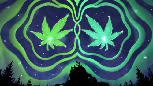 The Choice Between Indica and Sativa Is Increasingly Meaningless (and How to Pick Your Weed)