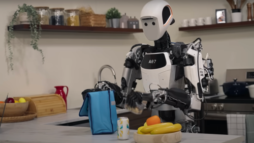 The AI robots are coming. The world is not ready