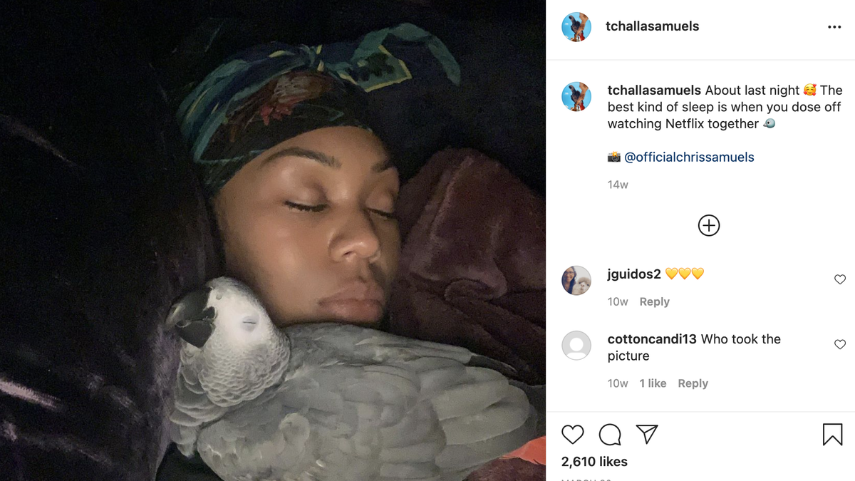 Gone But Not Forgotten: T'Challa, the Parrot From Real Housewives of Potomac