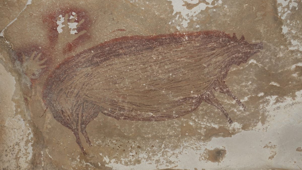Cave Painting of Pigs Might Be the Oldest Known Artwork of Animals