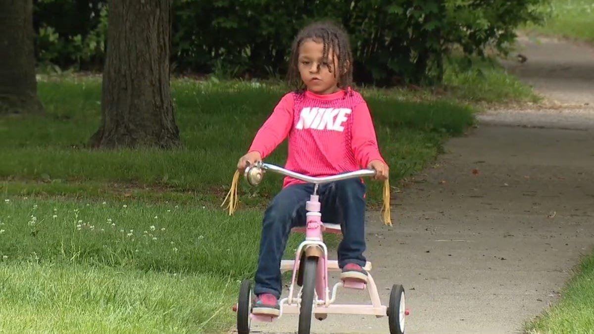 Black Michigan Boy Shot in Arm After Retrieving Bike From Neighbor's Yard. Neighbor Arrested and Released 3 Days Later